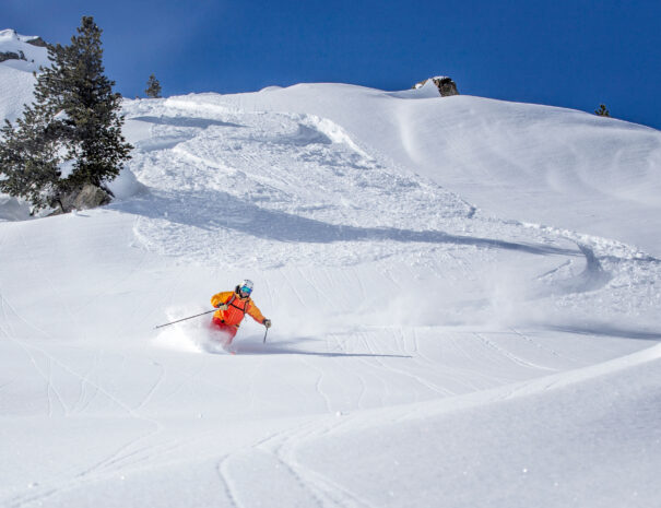 freeride skier skiing downhill through deep powder snow